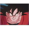 gokua3.gif